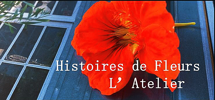 Histoires de Fleurs